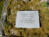 image of grave number 633793
